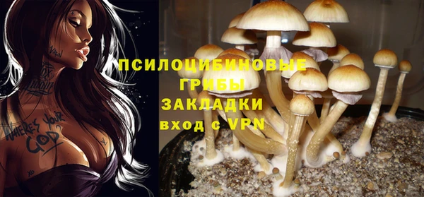 ALPHA-PVP Нязепетровск