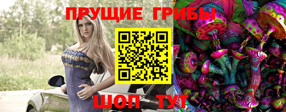 Псилоцибиновые грибы MAGIC MUSHROOMS  Вход с VPN  Череповец 